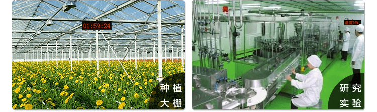 溫濕度點陣時間屏應用場景